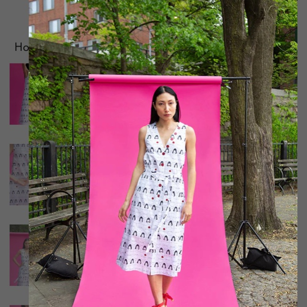 Rachel Antonoff Charlotte Dress size 4